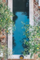 A tranquil pool surrounded by - Credits: pexels