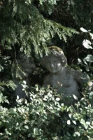Stone cherub statues peeking through - Credits: pexels