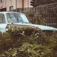 Abandoned vintage car surrounded by - Credits: pexels