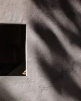 A dog peeks outside through - Credits: pexels