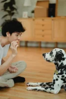 Person training a Dalmatian dog - Credits: pexels