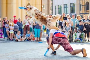 A dog catches a frisbee - Credits: pexels