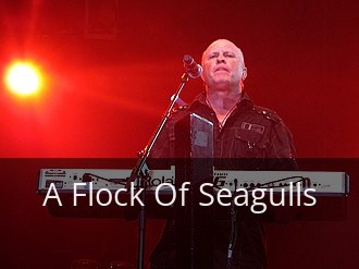 The 1 Shocking Secret A Flock Of Seagulls HID from the 80s. You Missed It!