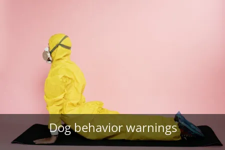 Is YOUR Dog a Ticking Time Bomb? 3 Hidden Signs & Urgent Fixes!