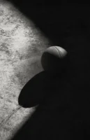 Dramatic black and white image - Credits: pexels